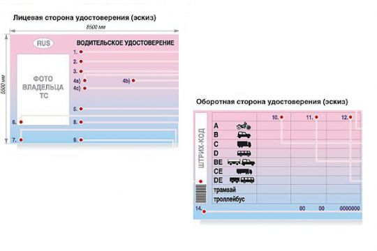Размер правого. Размер водительского удостоверения. Пустой бланк водительских прав. Водительское удостоверение шаблон. Размер водительского удостоверения РФ.